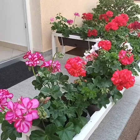 Marelja - Private Parking And Balcony Apartment Zadar