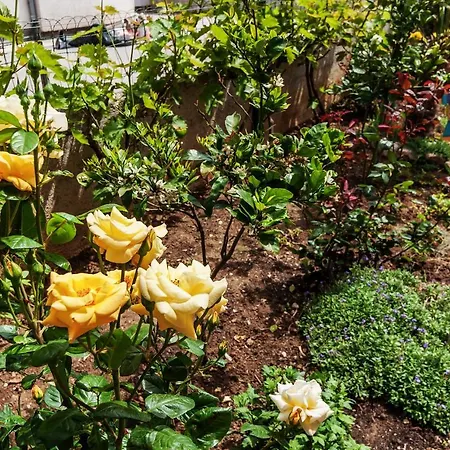 Marelja - Private Parking And Balcony * Zadar