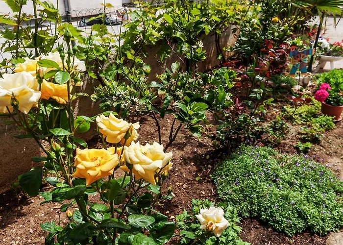 Marelja - Free Private Parking And Balcony * Zára